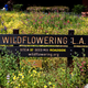 Illustration for article titled How An Artist Blanketed Los Angeles In Wildflowers